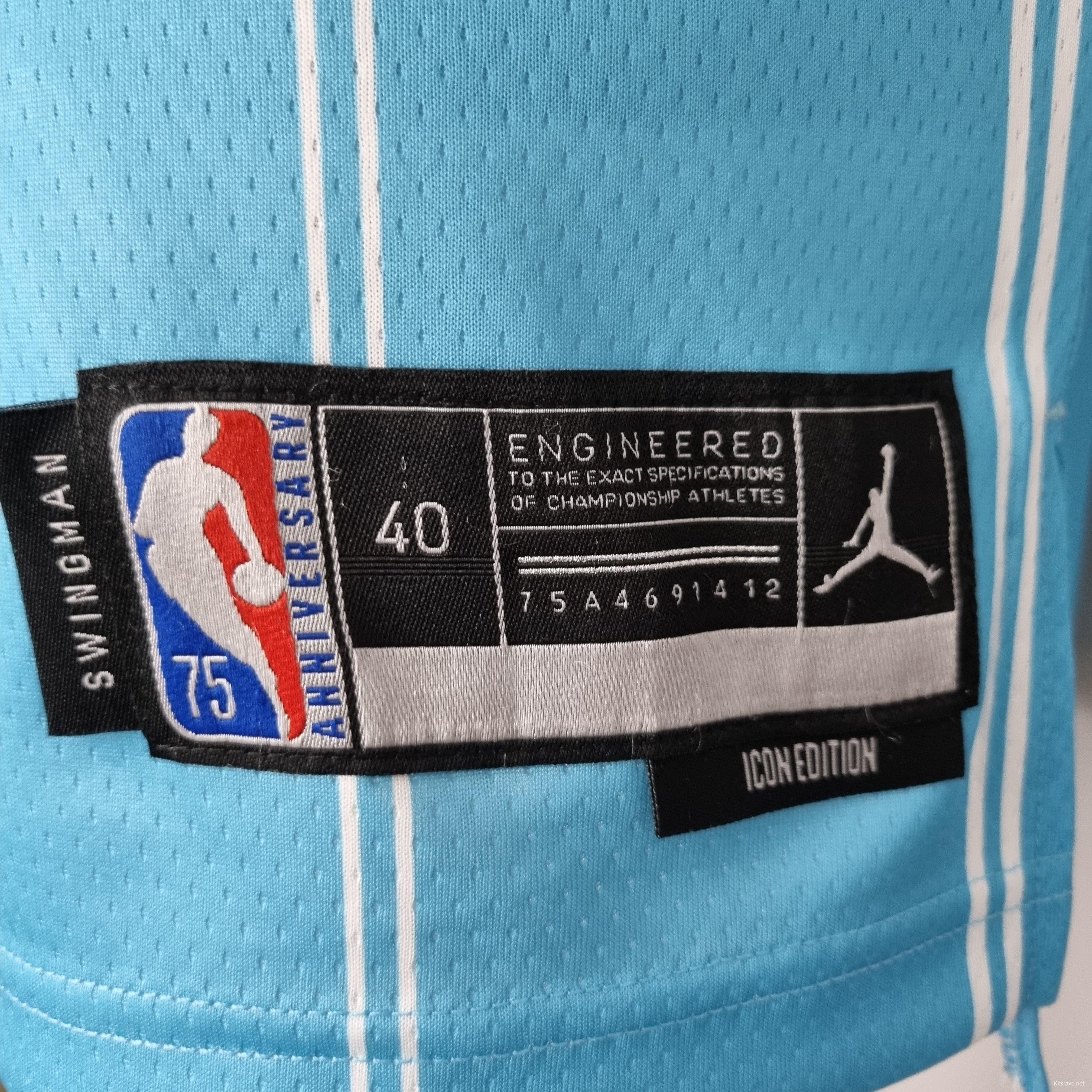 75th Anniversary Ball #2 Charlotte Hornets Blue NBA Jersey