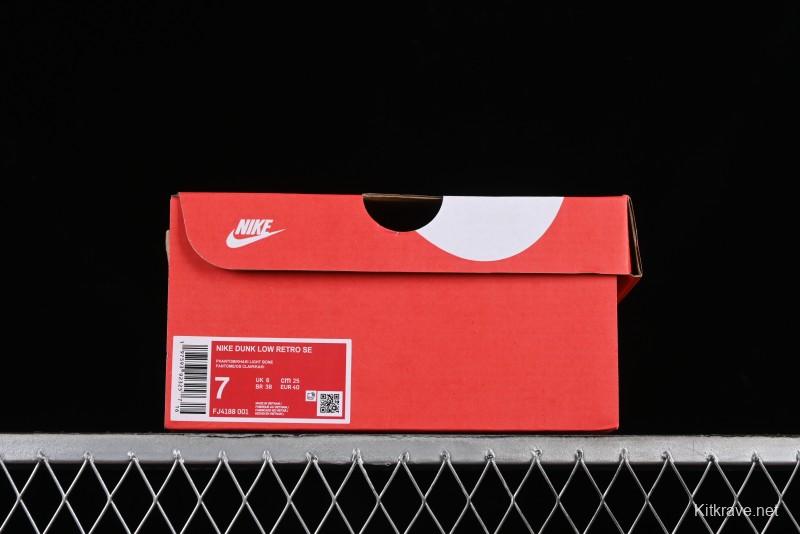 Nike Dunk Low SB Casual Sneakers in Light Grey/Khaki - FJ4188-001