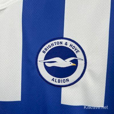 2025/26 Brighton Hove Albion Home Jersey