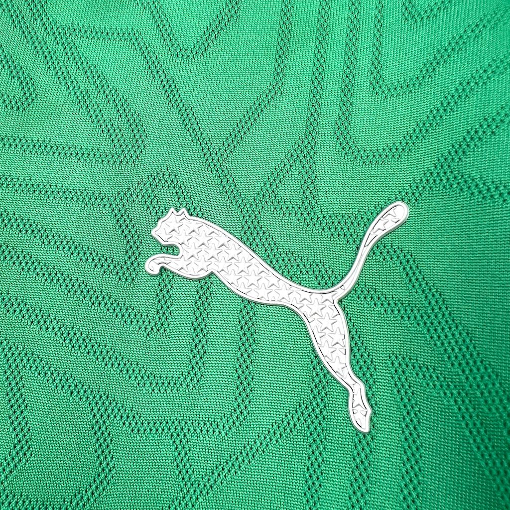 2025/26 Mens Palmeiras Pre-Match Jersey